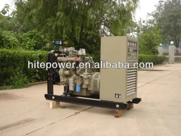 3 phase 50HZ low price NG/LPG generator