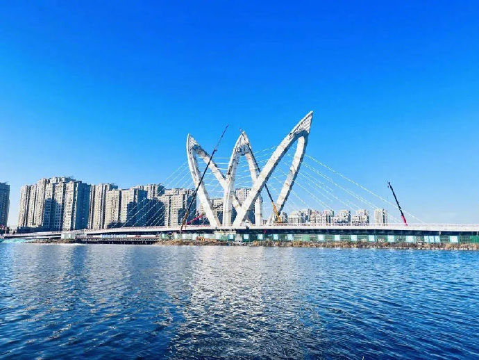 carbon fiber composite cable stayed bridge
