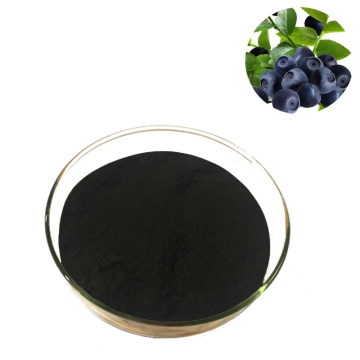 European Bilberry Extract 25% or 36% Anthocyanidins