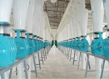 Flour Milling Plant (6FTF)