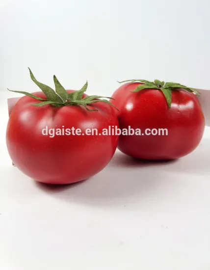 artificial plastic tomato for decoration fake vegetable
