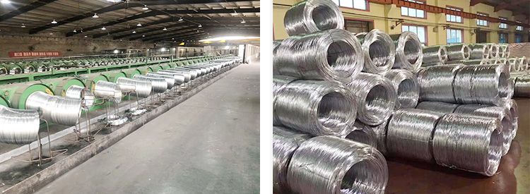 Electro Galvanized Wire