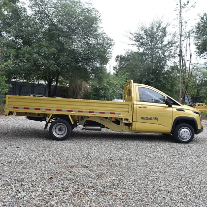 Lingshi Gold Card Pioneer Edition