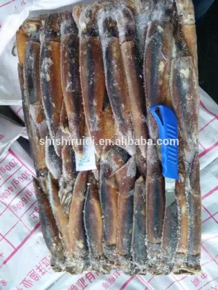 Frozen squid high quality illex squid, whole squid seafood