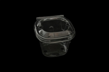 50G Blueberry Clamshell