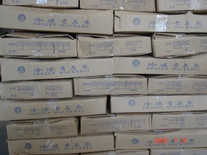 New Season Frozen 100-200 Pacific Mackerel Low Price