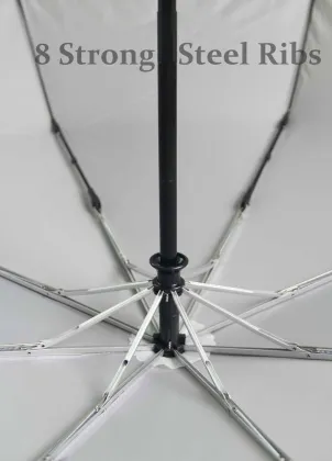 Auto Open Close Umbrella Compact Size