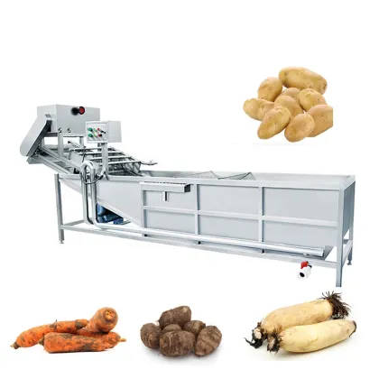 Automatic Fruit and Vegetable Washing Machinery: Fresh Ginger Washing Machine
