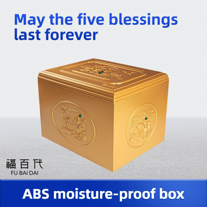 Boîte résistante à l'humidité en ABS légère et protectrice