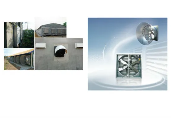 Huabo poultry box wall fan broiler breeder