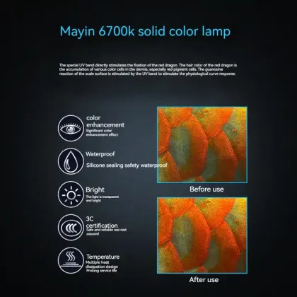 Mayin Brand IP68 Arowana Tanning LED Aquarium Light: 6700K UV Magic Light for Dragon Fish Tanks