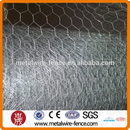 Hexagonal small mesh nets