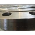 Carbon Steel Plate Flange