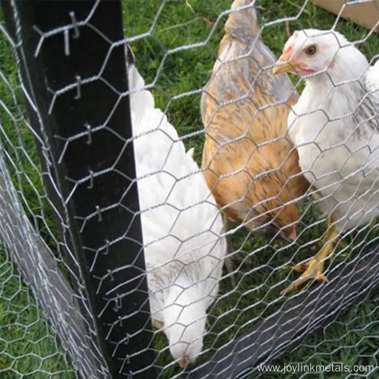 Chicken Hexagonal Wire Netting Wire Mesh