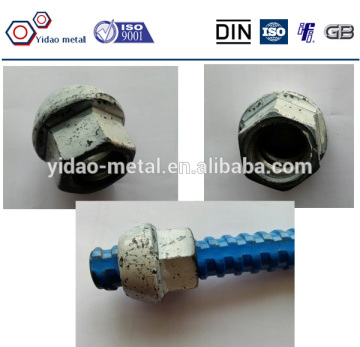 Domed Anchor Nut for Thread Steel Bar