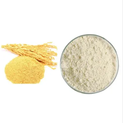 Organic or Natural Rice Bran Extract Powder