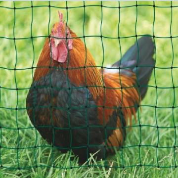 Plastic Anti Animals Garden fencing