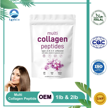 OEM Private Label Multi Collagen Peptides Type I, II, III, V,X with Biotin, Hyaluronic Acid
