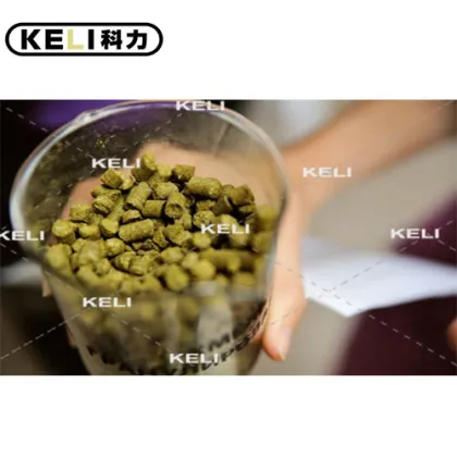 Pub beer machine beer ferment equipment / beer tank dispenser restaurant draft beer