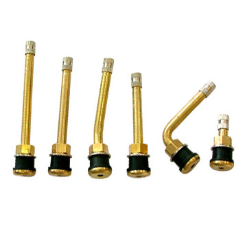 Tubeless Clamp-In Valves (TR500 Series)