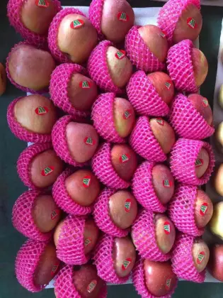 Plastic Bag FUJI Honey FUJI