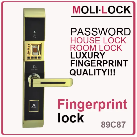 Price of biometrics fingerprint scaner, China market sliding door lock, fingerprint door lock