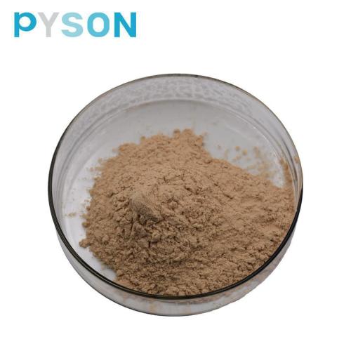 Green Coffee Bean extract powder 50%