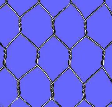 Chicken / Poultry Hexagonal Wire Mesh With 1/2 Inch Galvanized Wire Netting