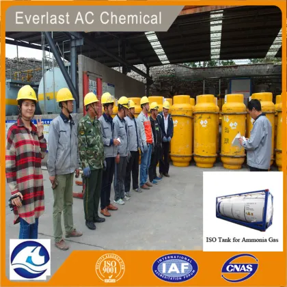 Everlast AC Chem Ammonia