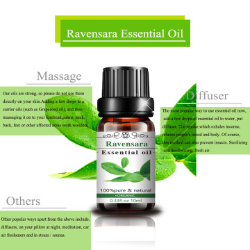 10ml Ravensara Essential Oil Nature Oil Aromatherapy Top Grade Nature Ravensara Oil