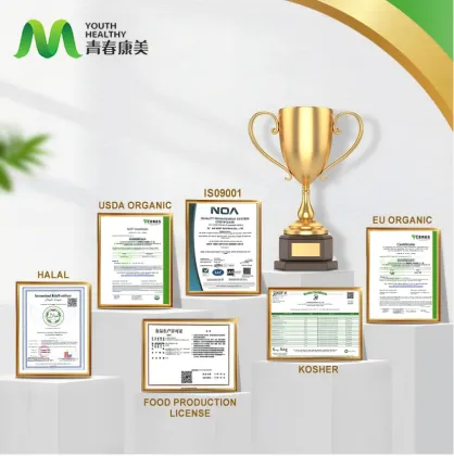 Aloe Vera Extract Powder