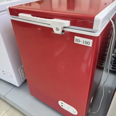 100L Dual-Temperature Electric Freezer: 12V DC Solar Powered with Sliding Door for Car, Household, and Outdoor Use
