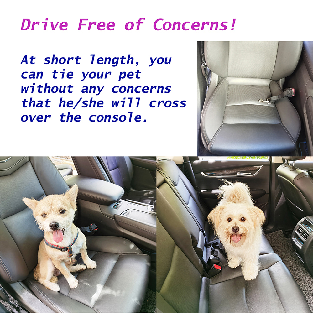 petsmart dog leash