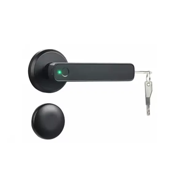 Intelligent External ElectronicFingerprint Handle Door Lock