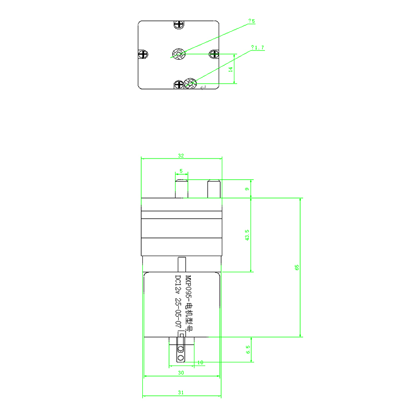 Miniature Vacuum Pump