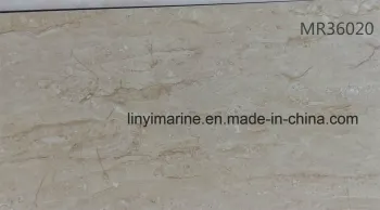 Glazed Ceramic Wall Tile 300X600mm