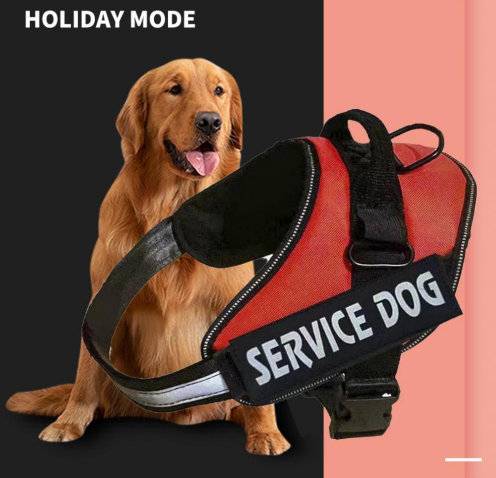 Service Dog Vest Harness Custom Dog Harness Factory