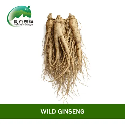 Premium Quality Raw Ginseng Root