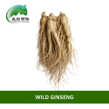 Сырой корень женьшеня высшего качества
