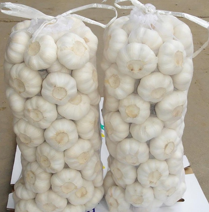 Natural 6P Fresh White Garlic Vegetables In Bulk Mesh bag 