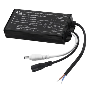 Emergency power driver for emergency lights