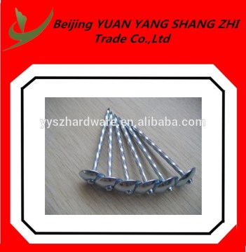 Top quality roofing nail umbrella head for buyer