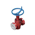 Héich Temperatur a Power Gate Valve