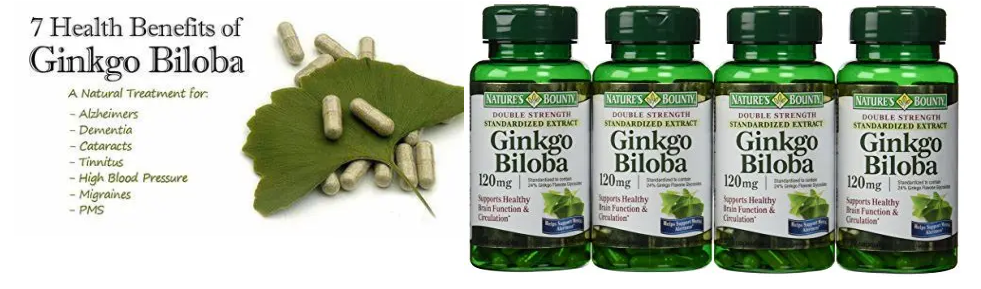 Ginkgo Biloba Extract