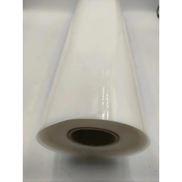 PP Blister Film for Yogurt Jelly, Food Packaging