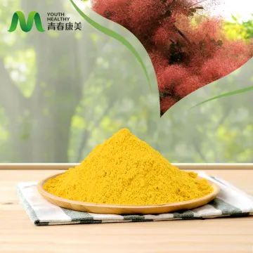 High Purity Fisetin Bulk Powder