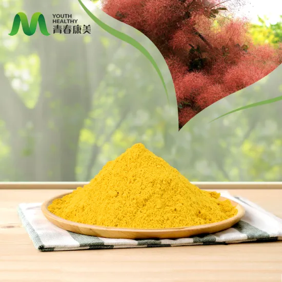 High Purity Fisetin Bulk Powder