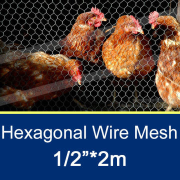 1/2"*0.7mm Electric Fencing For Chicken 2m
