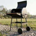 Grill au charbon de bois couvert pour la cuisson au barbecue en plein air