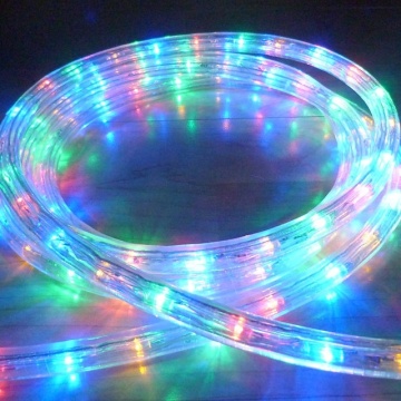 Duralight Round LED Rope Light with 2 Wires
